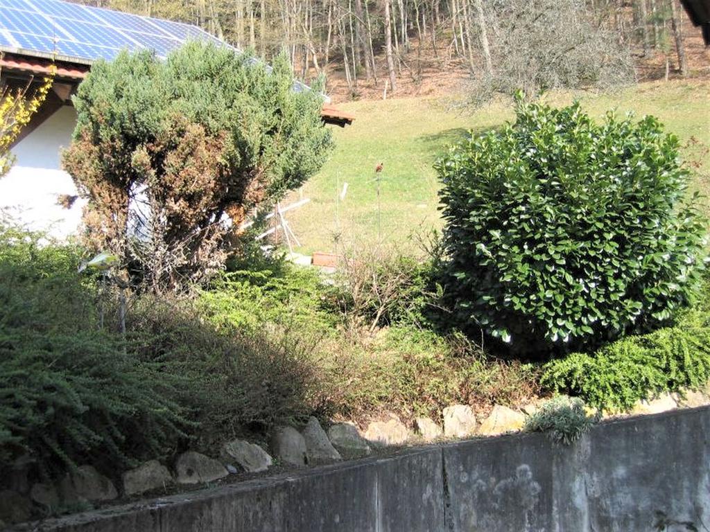 Ferienwohnung Burgblick Seelbach  Buitenkant foto